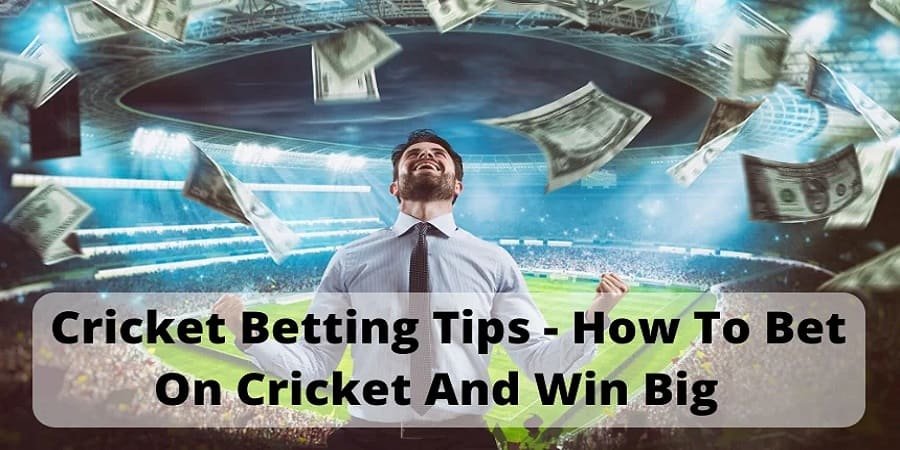 cricket betting tips - how to bet on cricket and win big 